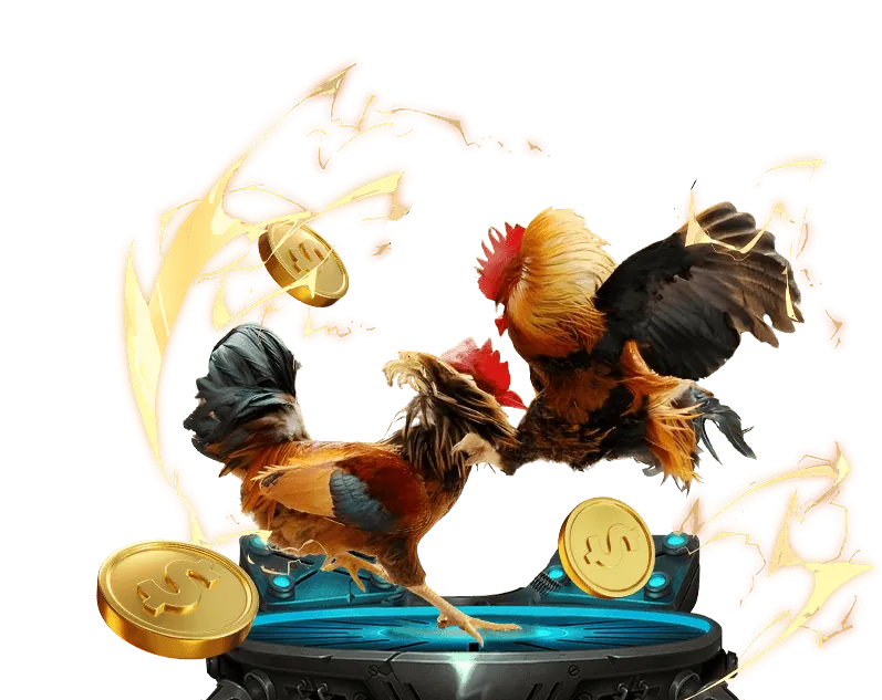 Sân chơi đá gà trực tuyến minh bạch tại 888top Nổ Hũ